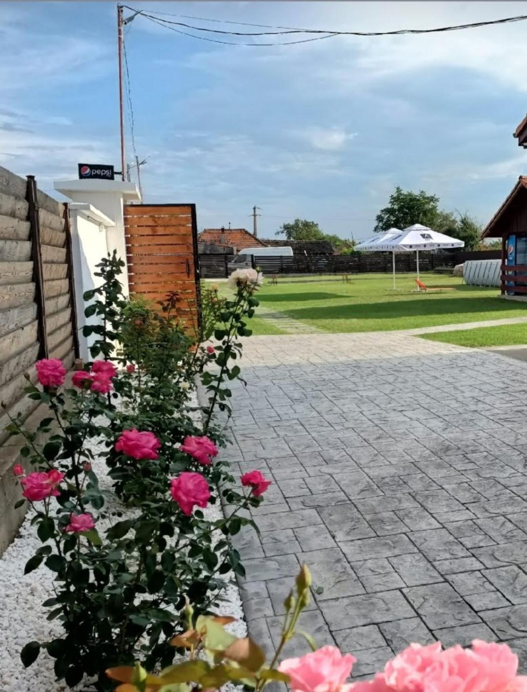 Apartament Family House Pristol Zewnętrze zdjęcie